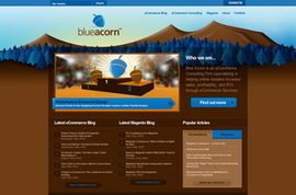 自然風(fēng)韻 融合生態(tài)美學(xué)的網(wǎng)頁設(shè)計(jì)案例展示